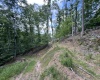 TBD Walker Fork Road, Copen, West Virginia 26615, ,Lots/land,For Sale,Walker Fork,10157912