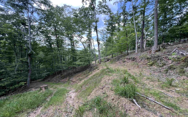 TBD Walker Fork Road, Copen, West Virginia 26615, ,Lots/land,For Sale,Walker Fork,10157912