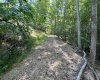 TBD Walker Fork Road, Copen, West Virginia 26615, ,Lots/land,For Sale,Walker Fork,10157912