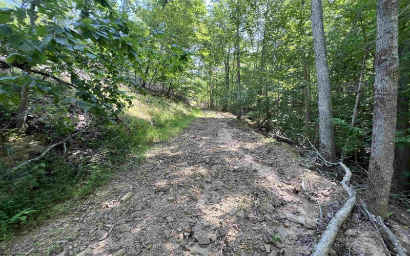 TBD Walker Fork Road, Copen, West Virginia 26615, ,Lots/land,For Sale,Walker Fork,10157912