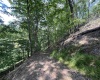 TBD Walker Fork Road, Copen, West Virginia 26615, ,Lots/land,For Sale,Walker Fork,10157912