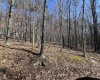 TBD Recluse Road, Delray, West Virginia 26714, ,Lots/land,For Sale,Recluse,10157951