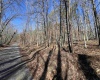 TBD Recluse Road, Delray, West Virginia 26714, ,Lots/land,For Sale,Recluse,10157951