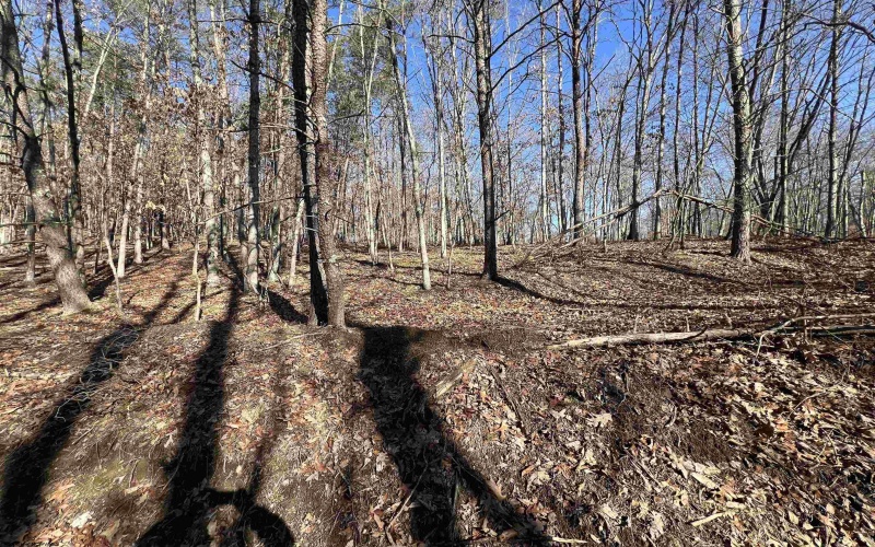 TBD Recluse Road, Delray, West Virginia 26714, ,Lots/land,For Sale,Recluse,10157951