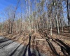 TBD Recluse Road, Delray, West Virginia 26714, ,Lots/land,For Sale,Recluse,10157951