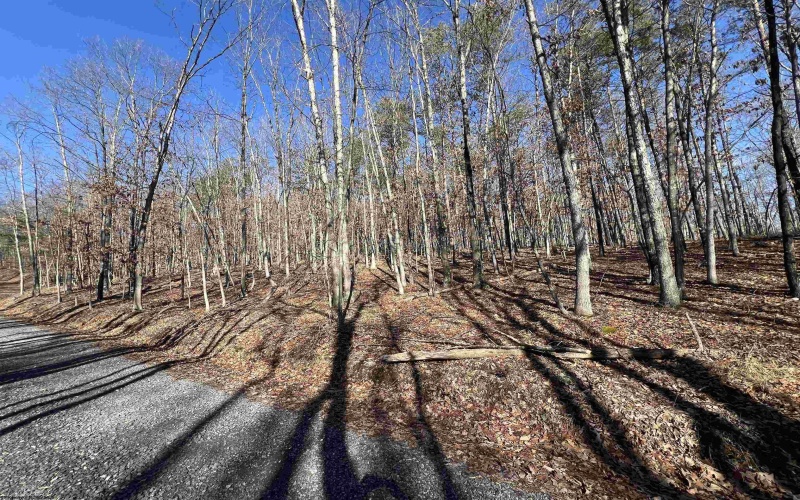 TBD Recluse Road, Delray, West Virginia 26714, ,Lots/land,For Sale,Recluse,10157951