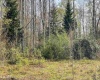 Lot 75 Canal Street, Davis, West Virginia 26260, ,Lots/land,For Sale,Canal,10157950