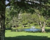 41 Honey Pot Lane, Davis, West Virginia 26260, ,Lots/land,For Sale,Honey Pot,10145185