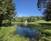 41 Honey Pot Lane, Davis, West Virginia 26260, ,Lots/land,For Sale,Honey Pot,10145185