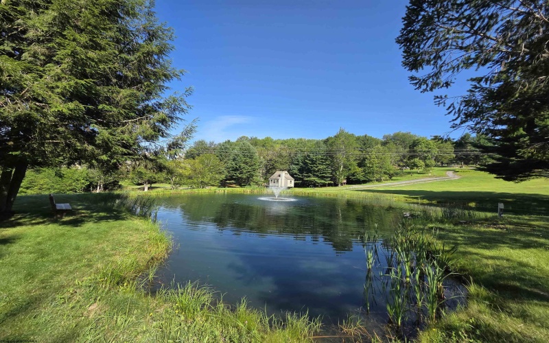 41 Honey Pot Lane, Davis, West Virginia 26260, ,Lots/land,For Sale,Honey Pot,10145185