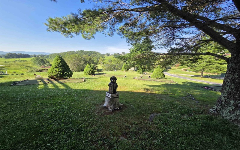 41 Honey Pot Lane, Davis, West Virginia 26260, ,Lots/land,For Sale,Honey Pot,10145185