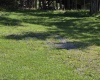 41 Honey Pot Lane, Davis, West Virginia 26260, ,Lots/land,For Sale,Honey Pot,10145185