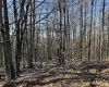 Lot 171 Frostline Court, Davis, West Virginia 26260, ,Lots/land,For Sale,Frostline,10157965