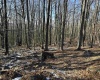Lot 171 Frostline Court, Davis, West Virginia 26260, ,Lots/land,For Sale,Frostline,10157965