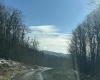 Lot 171 Frostline Court, Davis, West Virginia 26260, ,Lots/land,For Sale,Frostline,10157965