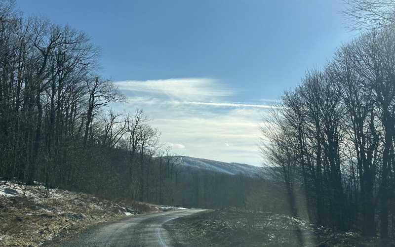 Lot 171 Frostline Court, Davis, West Virginia 26260, ,Lots/land,For Sale,Frostline,10157965