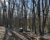 Lot 171 Frostline Court, Davis, West Virginia 26260, ,Lots/land,For Sale,Frostline,10157965