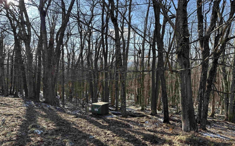 Lot 171 Frostline Court, Davis, West Virginia 26260, ,Lots/land,For Sale,Frostline,10157965