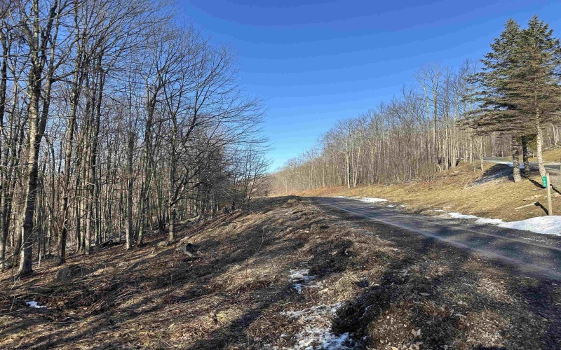 Lot 171 Frostline Court, Davis, West Virginia 26260, ,Lots/land,For Sale,Frostline,10157965