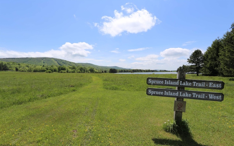 Lot 171 Frostline Court, Davis, West Virginia 26260, ,Lots/land,For Sale,Frostline,10157965