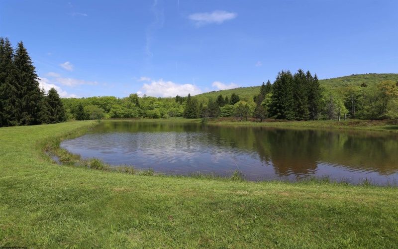 Lot 171 Frostline Court, Davis, West Virginia 26260, ,Lots/land,For Sale,Frostline,10157965
