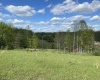 TBD Old Elkins Road, Buckhannon, West Virginia 26201-4033, ,Lots/land,For Sale,Old Elkins,10157962