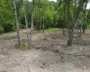 Lot 16 Island Run, Junior, West Virginia 26275, ,Lots/land,For Sale,Island,10157983