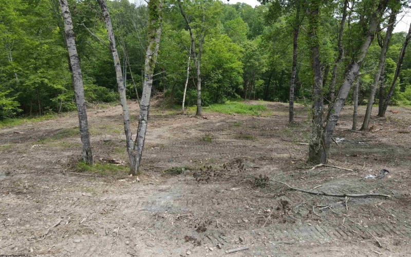 Lot 16 Island Run, Junior, West Virginia 26275, ,Lots/land,For Sale,Island,10157983