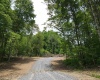 Lot 16 Island Run, Junior, West Virginia 26275, ,Lots/land,For Sale,Island,10157983