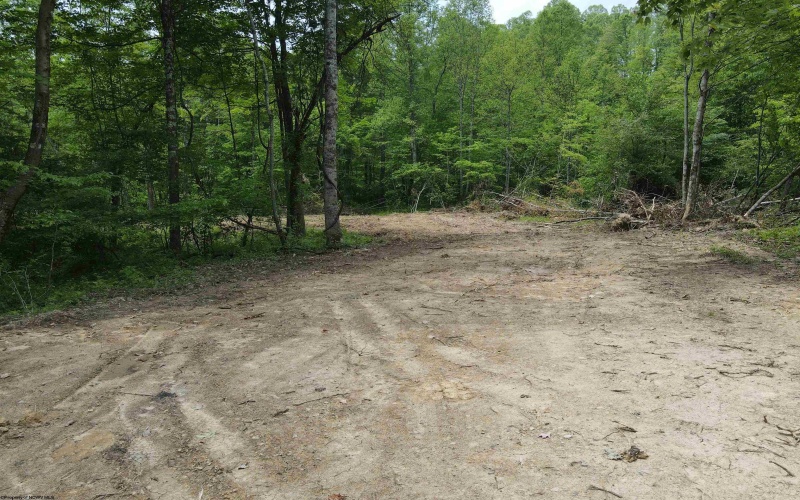 Lot 16 Island Run, Junior, West Virginia 26275, ,Lots/land,For Sale,Island,10157983