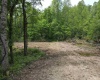 Lot 16 Island Run, Junior, West Virginia 26275, ,Lots/land,For Sale,Island,10157983