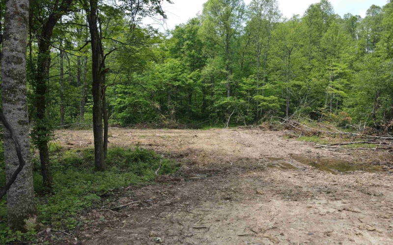 Lot 16 Island Run, Junior, West Virginia 26275, ,Lots/land,For Sale,Island,10157983