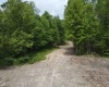 Lot 13 Island Run, Junior, West Virginia 26275, ,Lots/land,For Sale,Island,10157980