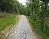 Lot 13 Island Run, Junior, West Virginia 26275, ,Lots/land,For Sale,Island,10157980