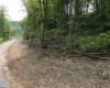 Lot 13 Island Run, Junior, West Virginia 26275, ,Lots/land,For Sale,Island,10157980