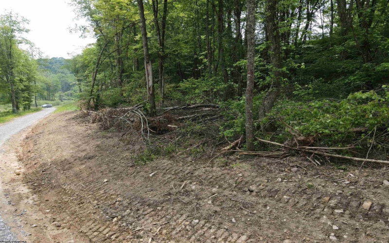 Lot 13 Island Run, Junior, West Virginia 26275, ,Lots/land,For Sale,Island,10157980