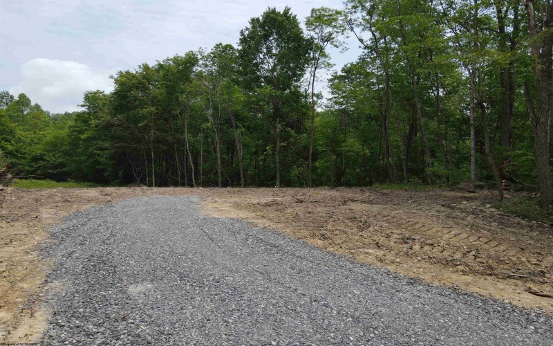 Lot 13 Island Run, Junior, West Virginia 26275, ,Lots/land,For Sale,Island,10157980