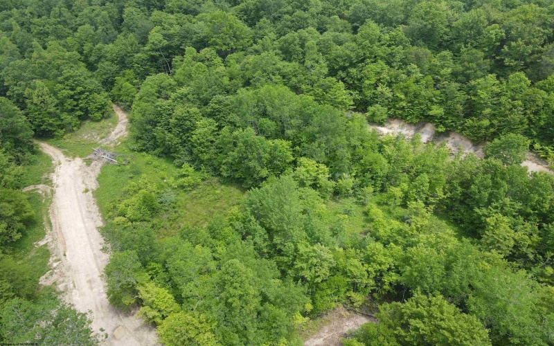 Lot 13 Island Run, Junior, West Virginia 26275, ,Lots/land,For Sale,Island,10157980