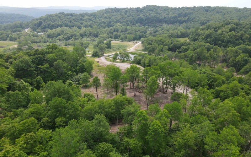 Lot 13 Island Run, Junior, West Virginia 26275, ,Lots/land,For Sale,Island,10157980
