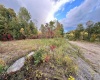 Lot 12 Island Run, Junior, West Virginia 26275, ,Lots/land,For Sale,Island,10157979