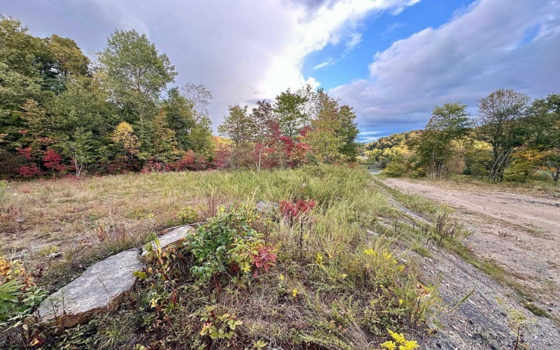 Lot 12 Island Run, Junior, West Virginia 26275, ,Lots/land,For Sale,Island,10157979