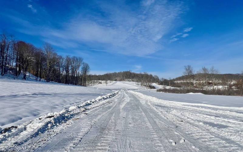 Lot 12 Island Run, Junior, West Virginia 26275, ,Lots/land,For Sale,Island,10157979