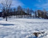 Lot 12 Island Run, Junior, West Virginia 26275, ,Lots/land,For Sale,Island,10157979