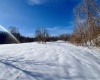 Lot 12 Island Run, Junior, West Virginia 26275, ,Lots/land,For Sale,Island,10157979