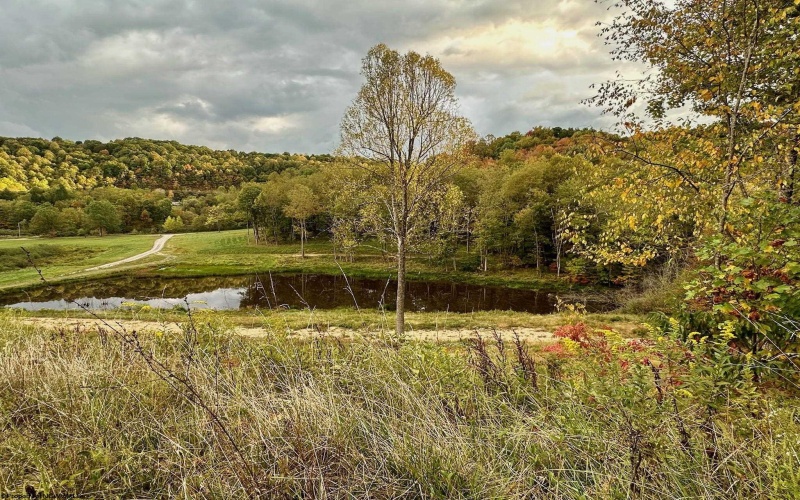 Lot 12 Island Run, Junior, West Virginia 26275, ,Lots/land,For Sale,Island,10157979