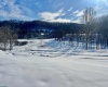 Lot 12 Island Run, Junior, West Virginia 26275, ,Lots/land,For Sale,Island,10157979