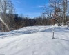 Lot 12 Island Run, Junior, West Virginia 26275, ,Lots/land,For Sale,Island,10157979
