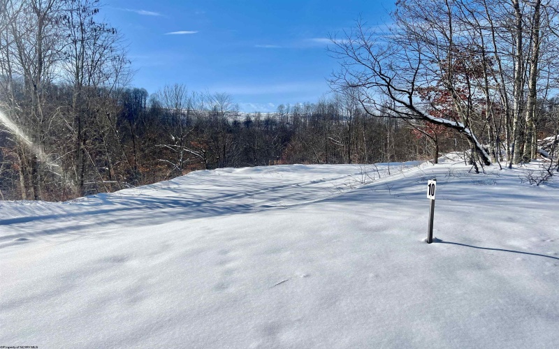 Lot 12 Island Run, Junior, West Virginia 26275, ,Lots/land,For Sale,Island,10157979
