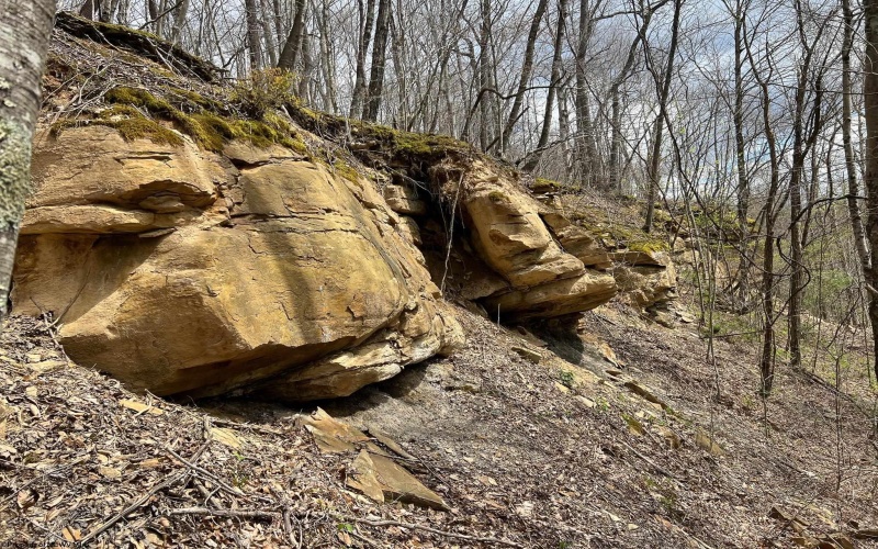 Lot 12 Island Run, Junior, West Virginia 26275, ,Lots/land,For Sale,Island,10157979