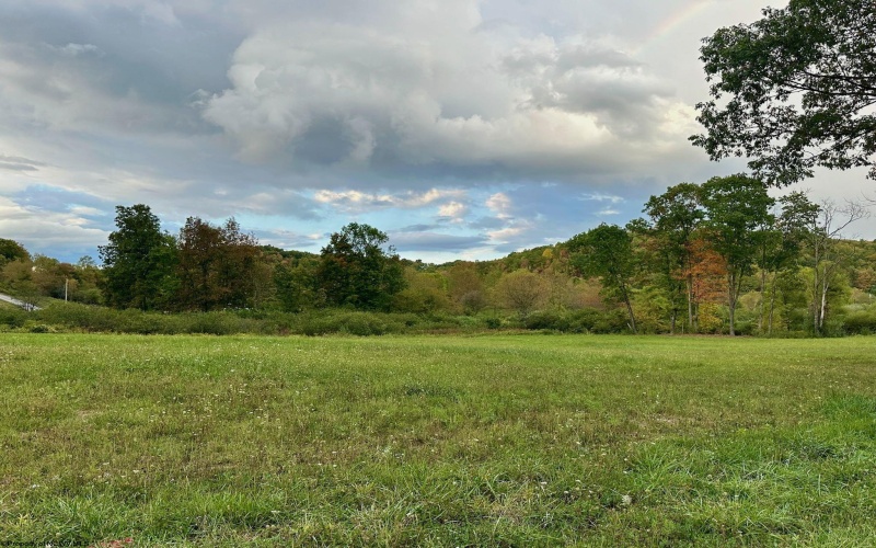 Lot 12 Island Run, Junior, West Virginia 26275, ,Lots/land,For Sale,Island,10157979